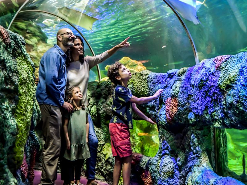 Sea Life CharlotteConcord Aquarium